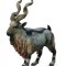 Figurina Capra Salbatica Tadjik Markhor