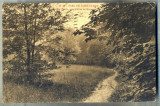 AD 403 C. P. VECHE-PARC DE SAINT-CLOUD-CIRC1914-CATRE LINA SLATINEANU, BUCURESTI, Circulata, Franta, Printata