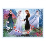 Puzzle FROZEN 4 in 1, 70 piese, Oem