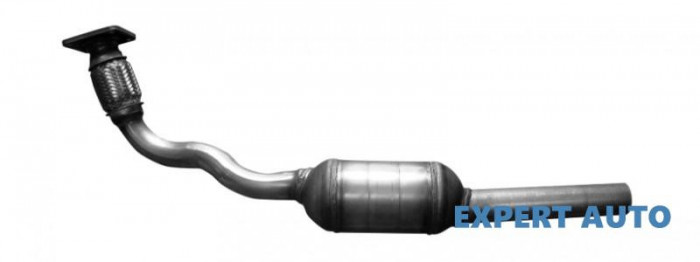 Catalizator Seat Ibiza III (2002-2009)[6L1]