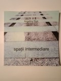 Angelica Stan - Spații intermediare (2016)