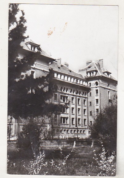 bnk cp Timisoara - Institutul politehnic - circulata
