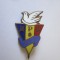 Romania insigna colectie RPR Pace anii 60