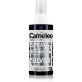 Delia Cosmetics Cameleo Spray &amp; Go spray nuanțator de păr culoare Silver 150 ml