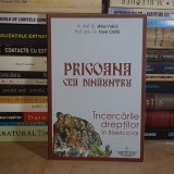 MIHAI VALICA - PRIGOANA CEA DINAUNTRU , 2011 *