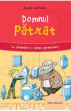 Domnul patrat. La pas prin lumea geometriei - Anna Cerasoli