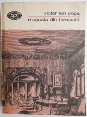 Muscata din fereastra &amp;ndash; Victor Ion Popa foto