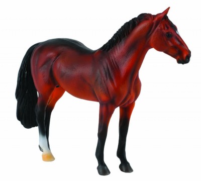 Armasar Hanoverian - Collecta foto