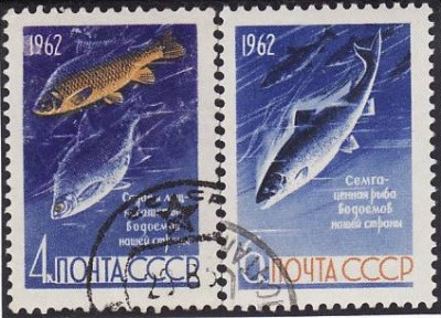 C4148 - Rusia 1962 - cat.nr.2556-7 stampilat,serie completa foto