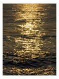 Tablou Canvas, "Strălucirea soarelui pe apă liniștită", Aur, Reflexie, Ocean, Apus, Sc&acirc;nteiere, Calm, &Icirc;nc&acirc;ntare, Valuri, 26 x 39 cm, CMCLASS