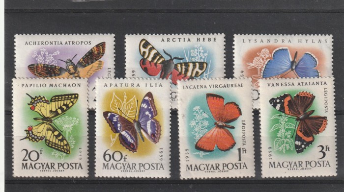 Fauna ,fluturi,Ungaria .