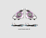 Lumini ambientale dedicate Mercedes-Benz E CLASS W213 2017-2023, RGB Acrilice 2 in 1 Statice cu efect RGB, Control din Aplicatie Bluetooth Buton