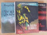 In slujba domniei vol 1-3 - Pompiliu Tudoran