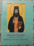 Roman sfant in Tara Sfanta: Sfantul Cuvios Ioan de la Neamt - Hozevitul