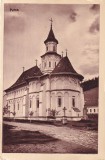 Putna (necirculata)