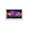Modul tastatura Touch Screen cu licenta Paradox TM70? compatibilitate: SWAN,