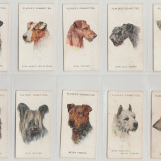 1929 Caini de rasa - set complet 50 cartonase PLAYER'S Cigarette Cards
