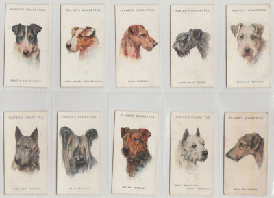 1929 Caini de rasa - set complet 50 cartonase PLAYER&amp;#039;S Cigarette Cards foto