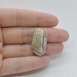 Cabochon agat crazy lace 28x16x7mm c128