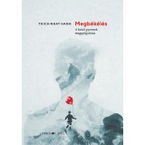 Megb&eacute;k&eacute;l&eacute;s - A belső gyermek meggy&oacute;gy&iacute;t&aacute;sa - Thich Nhat Hanh
