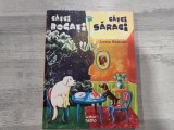 Catei bogati,catei saraci de Lydia Ugolini
