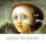 Ospiciul din Paradis - Brindusa Palade - Editura Editura Vinea