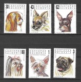 BULGARIA 1991 FAUNA ANIMALE DOMESTICE CAINI, Nestampilat