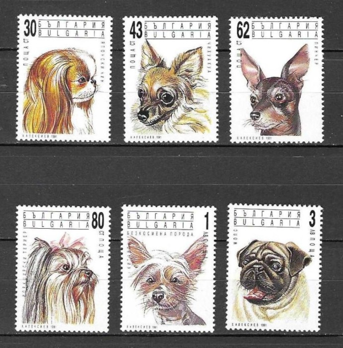 BULGARIA 1991 FAUNA ANIMALE DOMESTICE CAINI