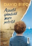 Aceasta splendida mare pestrita | David Biro, 2021