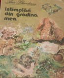 INTAMPLARI DIN GRADINA MEA ANA BLANDIANA,Ilus.DOINA BOTEZ 1986