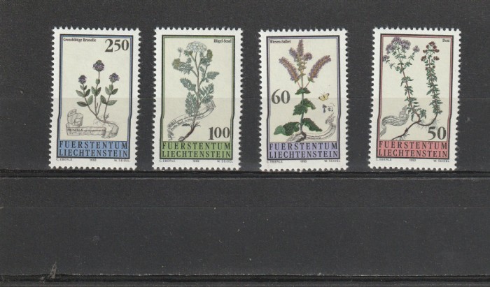 Flora locala ,Lihtenstein.