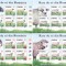 RASE DE OI DIN ROMANIA,SET MINICOLI,MNH,2017,Lp.2164b, ** ROMANIA.
