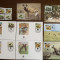 guineea - serie 4 timbre MNH, 4 FDC, 4 maxime, fauna wwf