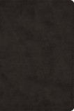 Large Print Bible-ESV