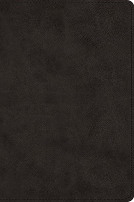 Large Print Bible-ESV foto
