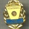 Y 706 INSIGNA -HUSEGGEL -A NEP EGESZSEGEERT-MEDICALA-UNGARIA-PENTRU COLECTIONARI