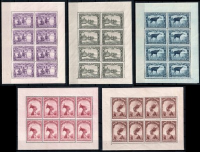 Congo Belgian 1931 1937, Mi #135+137+139+171+172**, set COMPLET de blocuri de 8, indigeni, fauna, animale, okapi, MNH! RARE!!! foto