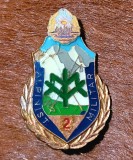 Insigna Alpinist Militar clasa 2