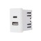 Modul Priza USB A+C 1M LUXION, Standard Italian SmartElectro IntelligentHouse