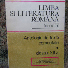 Limba si literatura romana in licee - antologie de texte comentate