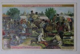 ROMANIA , TARG DE STRUGURI PENTRU VIN , CARTOLINA DE RECLAMA LA PRODUSUL GERMAN &#039; LIEBIG FLEISCH EXTRACT &#039; , CROMOLITOGRAFIE , TEXT IN LB. GERMANA ,