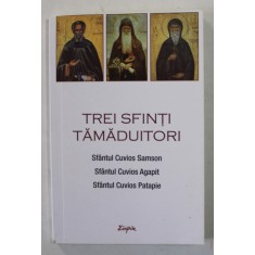 TREI SFINTI TAMADUITORI - SFANTUL CUVIOS SAMSON , SFANTUL CUVIOS AGAPIT , SFANTUL CUVIOS PATAPIE , 2020