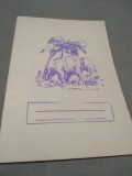 CAIET 1986 48 FILE MATEMATICA PERIOADA COMUNISTA NOU
