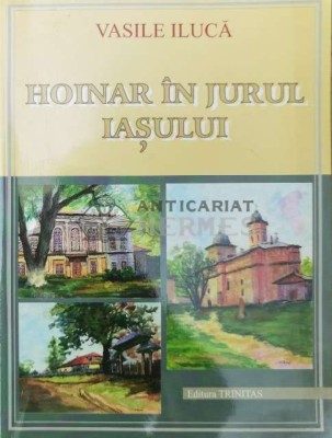 Hoinar in jurul Iasului - 2001 - Vasile Iluca (Z35) foto