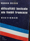 Monica Sildan - Dificultati lexicale ale limbii franceze dictionar (2000)