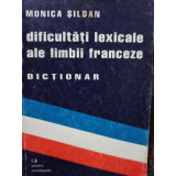 Monica Sildan - Dificultati lexicale ale limbii franceze dictionar (2000)