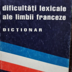 Monica Sildan - Dificultati lexicale ale limbii franceze dictionar (2000)