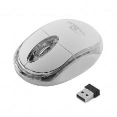 Mouse optic Condor Titanum Esperanza, USB 2.0, 1000 DPI, 3 butoane, 1.2 m, Alb foto