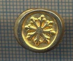 Y 1503 INSIGNA- SIMBOLUL ZAPEZII -NORVEGIA? -PENTRU COLECTIONARI foto