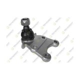 Pivot brat suspensie Isuzu D-Max I (Tfr Tfs) 05.02-12.12, D-Max I (Tfr Tfs) 10.06-10.12, D-Max 2 (Tfr Tfs) 06.12-, D-Max 2 (Tfr Tfs) 06.12-, Fata, St